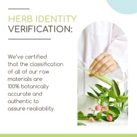 Blue Vervain B120 Alcohol-Free Herbal Extract Tincture, Concentrated Liquid Drops Natural Blue Vervain (Verbena Hastata) (4 fl oz)