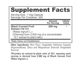 NusaPure Black Currant 2500 Mg Equivalent Per Caps 200 Veggie Capsules (Powder, Extract 10:1, Vegan, Non-GMO & Gluten-Free)