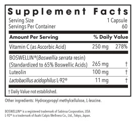 Allergy Research Group - Aller-Aid L-92 - Seasonal Support, Th1/Th2 Balance - 60 Vegetarian Capsules