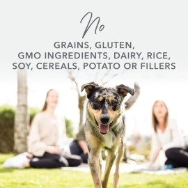 K9 Natural Chicken Feast - Freeze Dried Raw Topper for Dogs - 100g