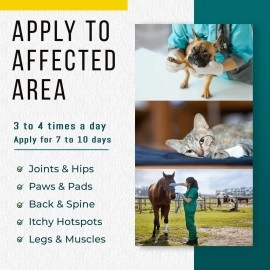 Real Time Pain Relief Pet Formula, 4 Ounce Spray Bottle