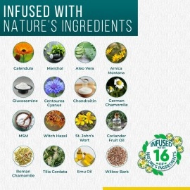 Real Time Pain Relief Pet Formula, 4 Ounce Spray Bottle