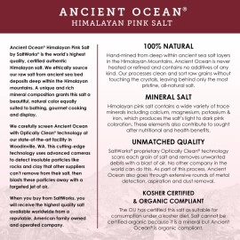 SALTWORKS Artisan Salt Company Ancient Ocean Himalayan Pink Salt, Fine Grain, Pour Spout Pouch, 16 Ounce