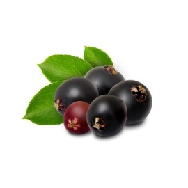 Biokoma Elderberries (Sambucus nigra) 100g 100ml - Dried Fruits