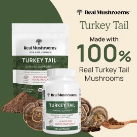 Real Mushrooms Turkey Tail Powder - Organic Supplement with Potent Extract for Gut, Energy, Brain, & Immune Support - Vegan, Non-GMO, 45 Servings