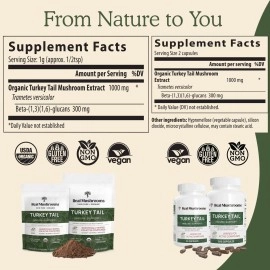 Real Mushrooms Turkey Tail Powder - Organic Supplement with Potent Extract for Gut, Energy, Brain, & Immune Support - Vegan, Non-GMO, 45 Servings