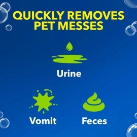 Carpet & Area Rug Pet Stain & Odour Remover, 710ml