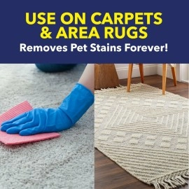 Carpet & Area Rug Pet Stain & Odour Remover, 710ml
