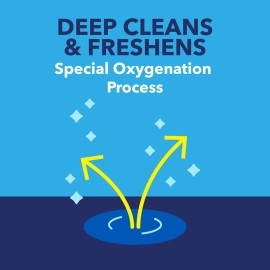 Carpet & Area Rug Pet Stain & Odour Remover, 710ml