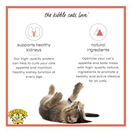 Dr. Elsey\'s Cleanprotein Salmon Formula Dry Cat Food, 6.6 Lb