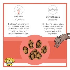 Dr. Elsey\'s Cleanprotein Salmon Formula Dry Cat Food, 6.6 Lb