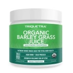 Organic Barley Grass Juice Powder - Grown in Volcanic Soil of Utah - Raw & BioActive Form, Cold-Pressed then CO2 Dried - Gluten Free, GMO free, Vegan - Complements Wheatgrass Juice Powder - 5.3 oz