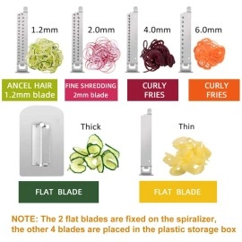 WellToBe Vegetable and fruit Spiralizer Spiral Mandoline Slicer and Peelers , Veggie Pasta Spaghetti Maker for Healthy Low Carb/Paleo/Gluten - 6-Blade 304 Food Steel Body & Includes Blade Storage Box