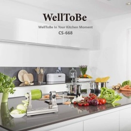 WellToBe Vegetable and fruit Spiralizer Spiral Mandoline Slicer and Peelers , Veggie Pasta Spaghetti Maker for Healthy Low Carb/Paleo/Gluten - 6-Blade 304 Food Steel Body & Includes Blade Storage Box