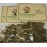 N&H Ruda (Rue Herbs) 1/4 oz (3 PACK)