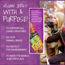 Primal Spirit Foods Vegan Jerky - Seitan Power Pack, 10 g. Plant Based Protein, Certified Non-GMO, No Preservatives (The Classics Teriyaki, Thai Peanut, and Mesquite Lime, 24-Pack, 1 oz)