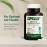 Standard Process Inc. Betaine Hydrochloride - Whole Food GI and Digestive Health Supplement with Magnesium Citrate, Betaine HCl, Ammonium Chloride, Pepsin, and More - 180 Tablets
