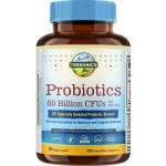 Terranics Probiotics with Prebiotics, 60 Billion CFU, 19 Strains, 60 Vegetarian Capsules, Acid & Bile Resistant, Shelf Stable, Supports Digestive& Immune Health, Non-GMO, Soy, Dairy & Gluten Free