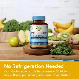 Terranics Probiotics with Prebiotics, 60 Billion CFU, 19 Strains, 60 Vegetarian Capsules, Acid & Bile Resistant, Shelf Stable, Supports Digestive& Immune Health, Non-GMO, Soy, Dairy & Gluten Free