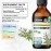 BIO KRAUTER MAUWE HERBS Motherwort Tincture - Organic Motherwort Herbal Extract - Liquid Supplement for Womens Health - Promote Calm - Alcohol & Sugar Free - Vegan Drops 4 Fl.Oz.