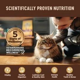 Wellness CORE Tiny Tasters Wet Cat Food Topper, Grain Free, Complete & Balanced Nutrition Made with Real Meat, No-Mess Pouches, 12 Pack (Adult Cat, Land Variety Pack)