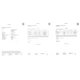 AS-IT-IS Nutrition Pea Protein Isolate | Designed for Meal Supplementation | Vegan Plant Protein | Easy To Digest - Vegan & Gluten-Free (500 gms)