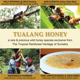 Health Harvest Tualang Red Honey 280g | Total Activity 10+ | Pollen Count 3.2M+ | Pollen Varieties 100+ | Moderate Choice for Adult & Teenage Maintenance | Multiple Awards-Winning