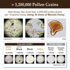 Health Harvest Tualang Red Honey 280g | Total Activity 10+ | Pollen Count 3.2M+ | Pollen Varieties 100+ | Moderate Choice for Adult & Teenage Maintenance | Multiple Awards-Winning