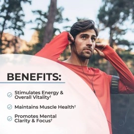 Men\'s Multivitamin with Vitamin C A B D3 E Zinc for Immune Support - Once Daily Supplement for Energy & Heart - Antioxidants & Digestive Enzymes for Absorption - Mental Clarity & Focus Support -60 Ct