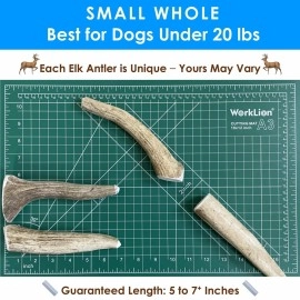 Deluxe Naturals Elk Antler Dog Chew Small, Single Pack