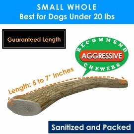 Deluxe Naturals Elk Antler Dog Chew Small, Single Pack