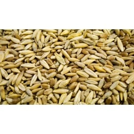 Thunder Acres Cat Grass Blend - Wheat, Barley, Oats, and Rye Seed Mix - Non-GMO - Certified Organic - Bonus CAT Toy (8 oz)