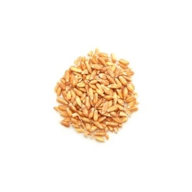 Yupik Organic Spelt Kernels, 2.2 lb (35.2 oz), Non-GMO, Kosher, Vegan, Raw Hulled Grains, Unsalted, Source of Fiber, Ideal for Baking & Cooking