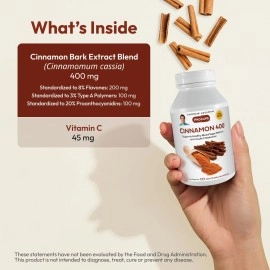 ANDREW LESSMAN Cinnamon 400mg - 120 Capsules - High Potency, Standardized Extract. No Additives. Small Easy to Swallow Capsules