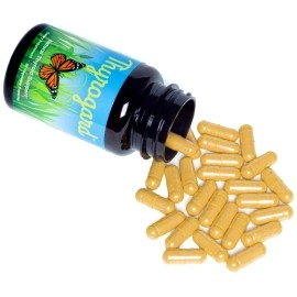 Thyrogard - Natural Thyroid Support Supplement - Non-GMO, Vegan, Gluten-Free