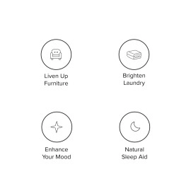 DRMTLGY Natural Lavender Linen and Room Spray - Pure Lavender Essential Oil and Chamomile Pillow Mist - Aromatherapy Fabric Spray