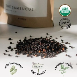 Waterglider International Certified USDA - 100% Organic Dried Elderberries - 1lb Bulk - Non-Irradiated, Non-GMO, Whole Black Elderberry Immune Support - Raw Vegan Sambucus 1 Pound