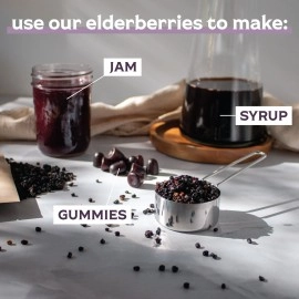Waterglider International Certified USDA - 100% Organic Dried Elderberries - 1lb Bulk - Non-Irradiated, Non-GMO, Whole Black Elderberry Immune Support - Raw Vegan Sambucus 1 Pound