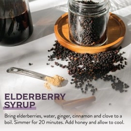 Waterglider International Certified USDA - 100% Organic Dried Elderberries - 1lb Bulk - Non-Irradiated, Non-GMO, Whole Black Elderberry Immune Support - Raw Vegan Sambucus 1 Pound