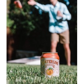 Waterloo Sparkling Water, Peach Naturally Flavored, 12 Fl Oz Cans, Pack of 12 | Zero Calories | Zero Sugar or Artificial Sweeteners | Zero Sodium 