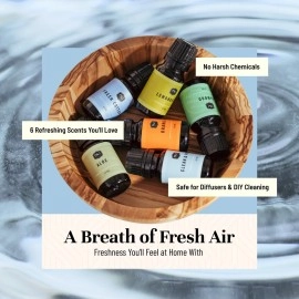 P&J Fragrance Oil Clean Home Set | Lemongrass, Fresh Cotton, Clean & Fresh, Aloe, Bamboo, Orange Candle Scents for Candle Making, Freshie Scent, Soap Making Supplies, Diffuser Oil Scents