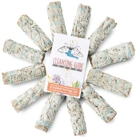 BLUE RIVER SAGE 12 Pack White ~ Smudge Sticks for Smudging & Cleansing Energy ~ Bulk/Wholesale ~ Sustainably Grown (12 Pack)