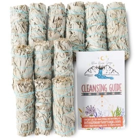 BLUE RIVER SAGE 12 Pack White ~ Smudge Sticks for Smudging & Cleansing Energy ~ Bulk/Wholesale ~ Sustainably Grown (12 Pack)