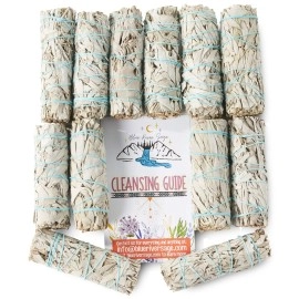 BLUE RIVER SAGE 12 Pack White ~ Smudge Sticks for Smudging & Cleansing Energy ~ Bulk/Wholesale ~ Sustainably Grown (12 Pack)
