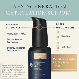 Quicksilver Scientific Methyl Charge - Methylation, Liver, Detox + Energy Supplement - Folate, Vitamin B12, Riboflavin, Vitamin B6 + TMG Supplement with Superior Absorption - Vegan B Vitamins (50ml)