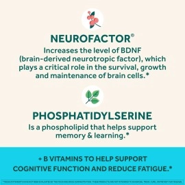 NEURIVA Plus Brain Supplement For Memory, Focus & Concentration + Cognative Function with Vitamins B6 & B12 and Clinically Tested Nootropics Phosphatidylserine and Neurofactor, 50ct Strawberry Gummies