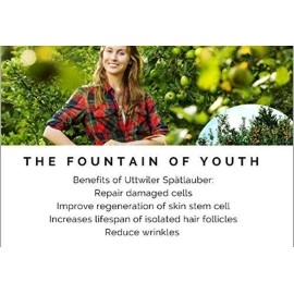 Stem Cell Supplement (6packs,90 sact,) Superlife Stc30, No1 Immunity Booster This Season!Stem Cell Supplement- Superlife Stc30 (1pk is 15sact)