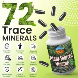 Outback Naturals : Organic Fulvic Humic Minerals Blend Supplement - High Absorption Trace Essentials, Promotes Hydration, Electrolyte Balance, Gut Health, Cognitive Function, Immune Support - 120 Caps