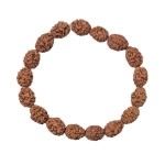 ASTRODIDI unisex-adult 3 Mukhi Rudraksha Java Beads Bracelet (Brown)