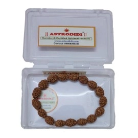 ASTRODIDI unisex-adult 3 Mukhi Rudraksha Java Beads Bracelet (Brown)